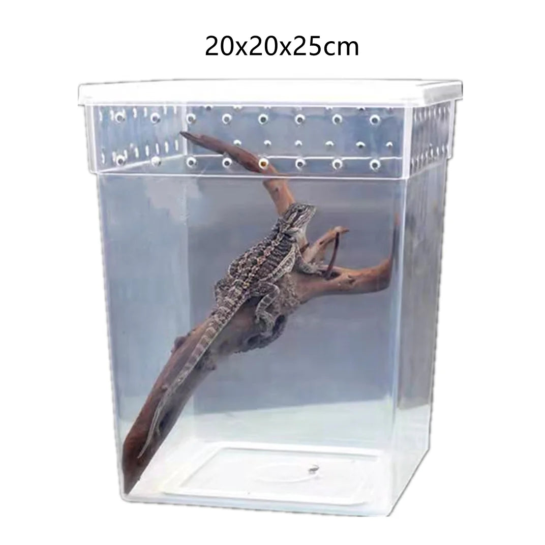 20x20x25cm Large Size square Enclosure Reptile Breeding Rearing Plastic PP Cages Boxes