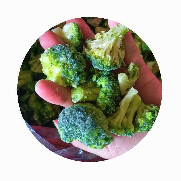 XMSD Wholesale GMO LQF Frozen Fresh Whole Broccoli Grade a in Bulk Vacuum Pack
