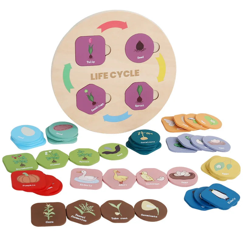 Children's Wooden Animal and Plant Growth Life Cycle Cognitive Matching Puzzle Baby Enlightenment Early Education Puzzle Toy