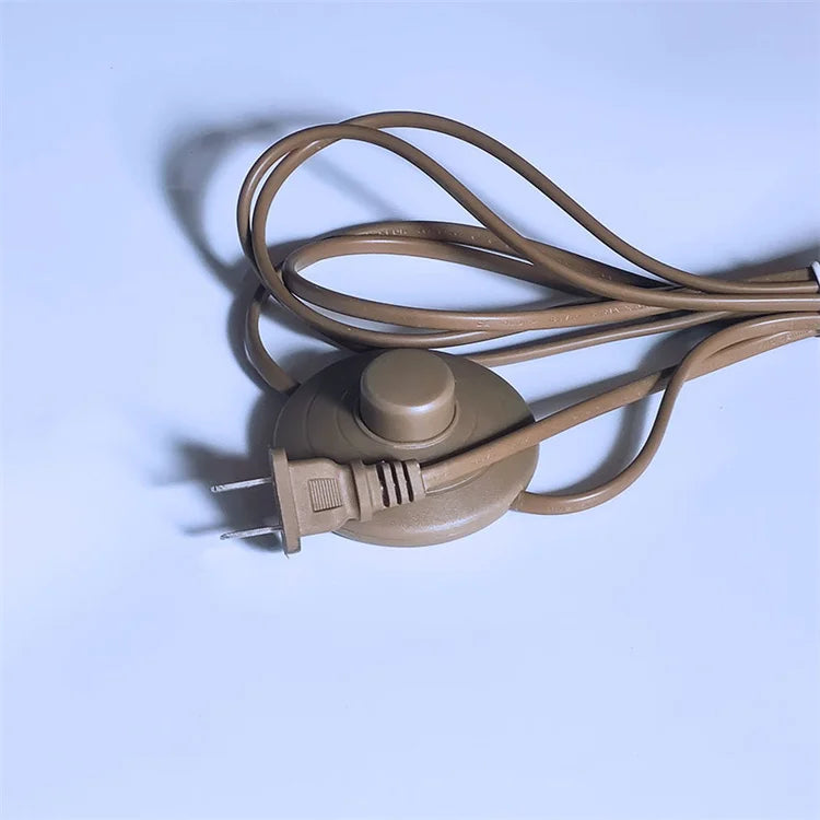Hot Sale European USA 2 Pin Plug Salt Lamp Extension Power Cord With 317 On/Off Switch Foot Pedal Switch