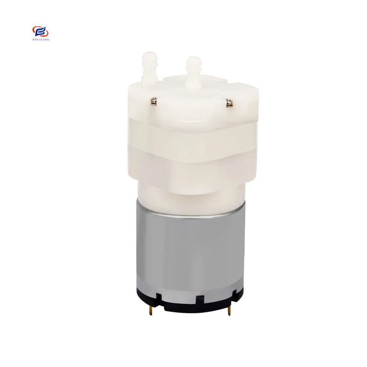 Manufacturer Hot Sale 12v 24v Electric Micro Diaphragm Pump Small Beauty Instrument Pump