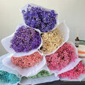 Wholesale Natural Dried Preserved Gypsophila Flower Bouquet Multiple Colours Preserved Baby's Breath