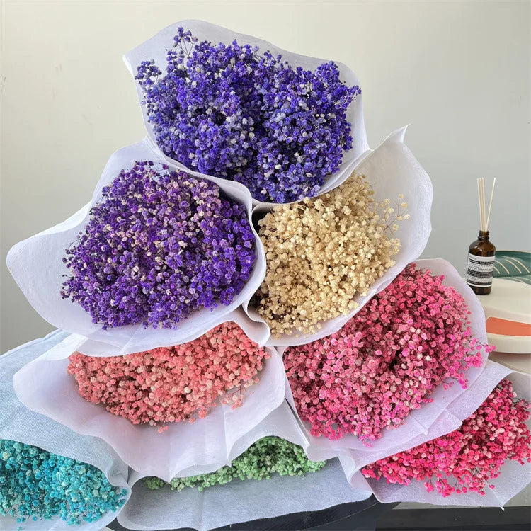Wholesale Natural Dried Preserved Gypsophila Flower Bouquet Multiple Colours Preserved Baby's Breath