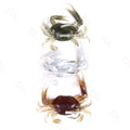 8cm/19g Soft Fishing Crab Lures Bait Artificial with Hooks Lure Pesca Carp Soft Fishing Lure