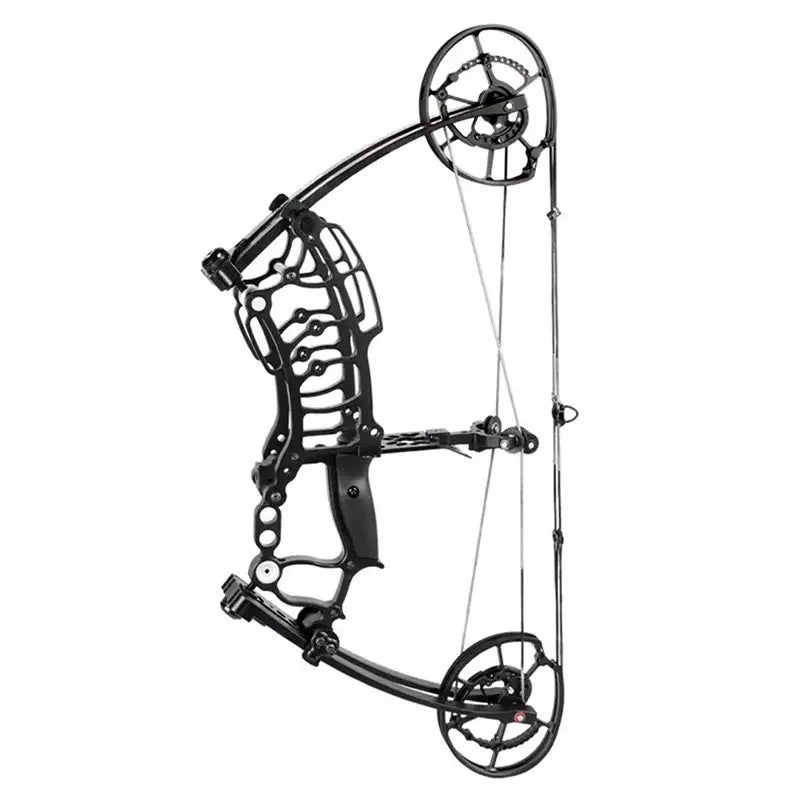 Archery Arrow Shooting Dual-purpose Design Steel Ball Hunting Compound Bow