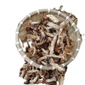 Premium Dried Flexible Helvella Elastica Mushrooms Elastic Saddle Fungus for Food