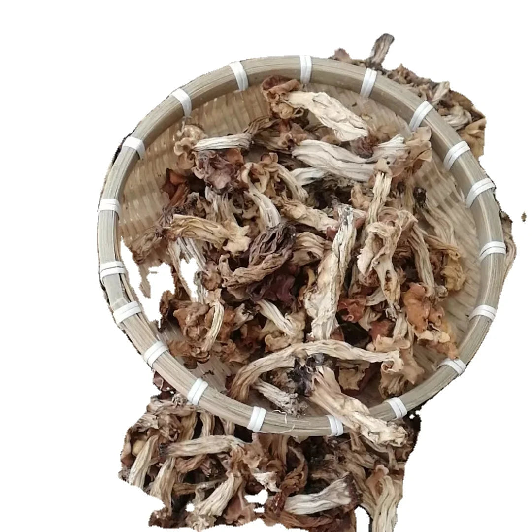 Premium Dried Flexible Helvella Elastica Mushrooms Elastic Saddle Fungus for Food
