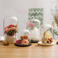 Factory Wholesale Hand Blown Transparent Decorative Glass Bell Jar Glass Dome Bell Shaped Led Glass Dome with Wooden Base