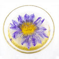 Organic Blue Lotus Flowers Egyptian Individual Sachet Dried Nymphaea Caerulea Blue Lily Tea | EU Market Comply Custom Label