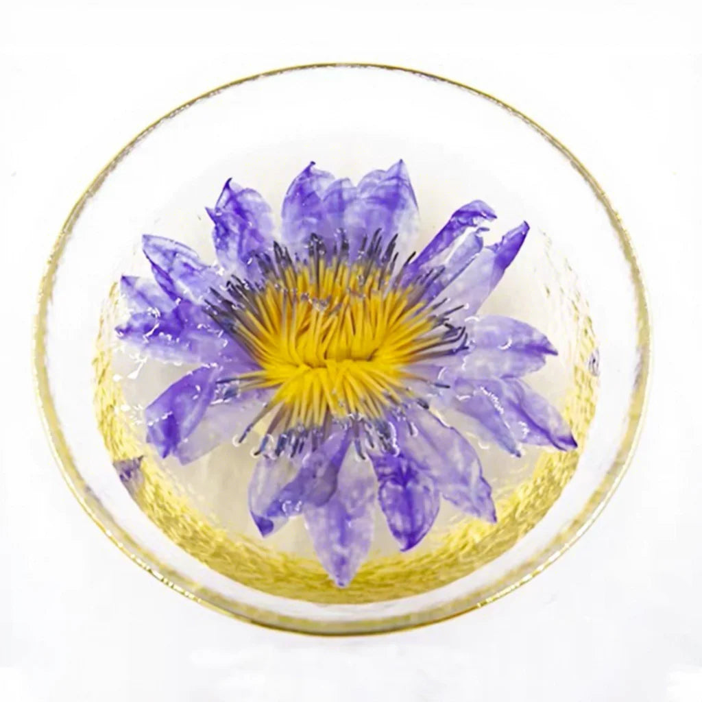 Organic Blue Lotus Flowers Egyptian Individual Sachet Dried Nymphaea Caerulea Blue Lily Tea | EU Market Comply Custom Label