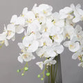 Natural Silk Artificial Orchid Flower with Butterfly Decor for Mother's Day Celebration