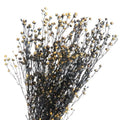 Wholesale Multi-color Preserved Flowers Dried Stained Acacia Bean 60-70cm Special Valentine's Day Flower Arrangement for Indoor