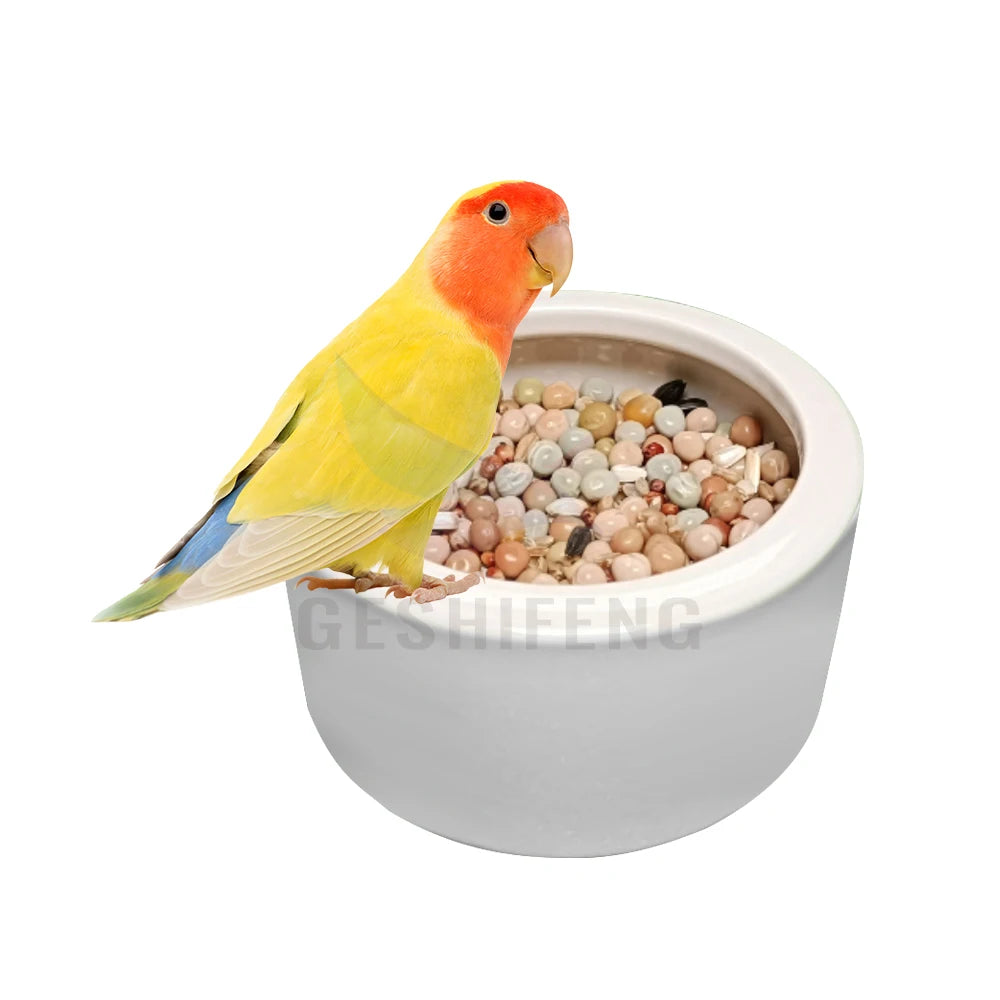 Wholesale Brown White Durable Ceramic Water Bottle Food Feeder for Bird Pigeon Parrot