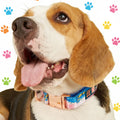 MIDEPET Extra Large Dog Collar Quick Release Adjustable 38mm Metal Alloy Nylon Polyester Ribbon Decorations Print Pattern