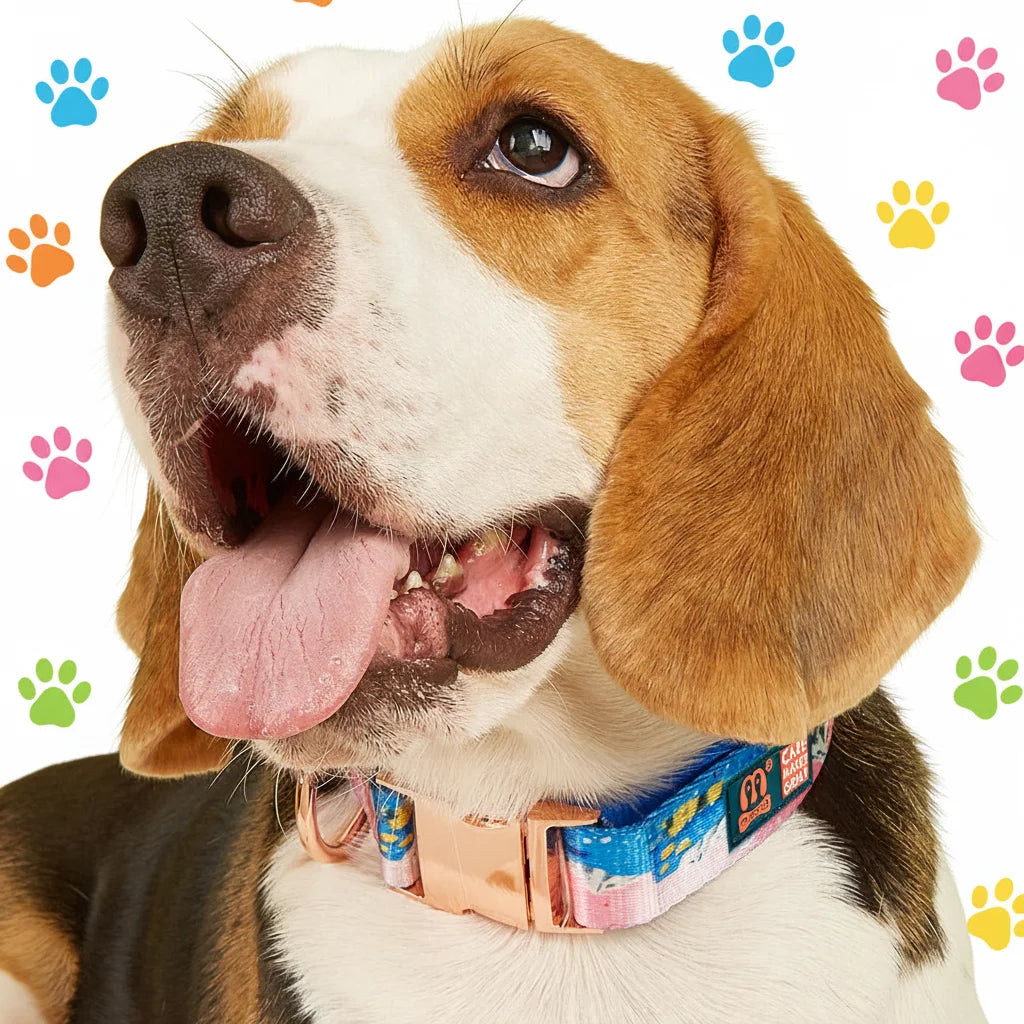 MIDEPET Extra Large Dog Collar Quick Release Adjustable 38mm Metal Alloy Nylon Polyester Ribbon Decorations Print Pattern