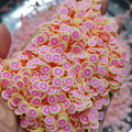 1KG DIY Craft Slime Polymer Sprinkles Fruit Slices Citrus Grapefruit Purple Pink Orange Polymer Clay  Sprinkles