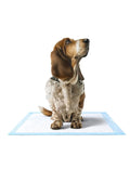 FenRou Bamboo Cage Liner for Dogs-Absorbent Disposable Training Pad with Customized Logo Blue Color PE Film Backsheet CN;TIA