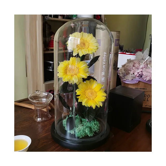 AM-PFA17 Ammy Factory's Elegant Preserved Rose Glass Dome Forever Flowers for Christmas Valentines Mother's Day