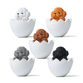 Teddy Dog in White Eggshell Cartoon Cute Car Interior Decorations Creative Desktop Resin Dolls