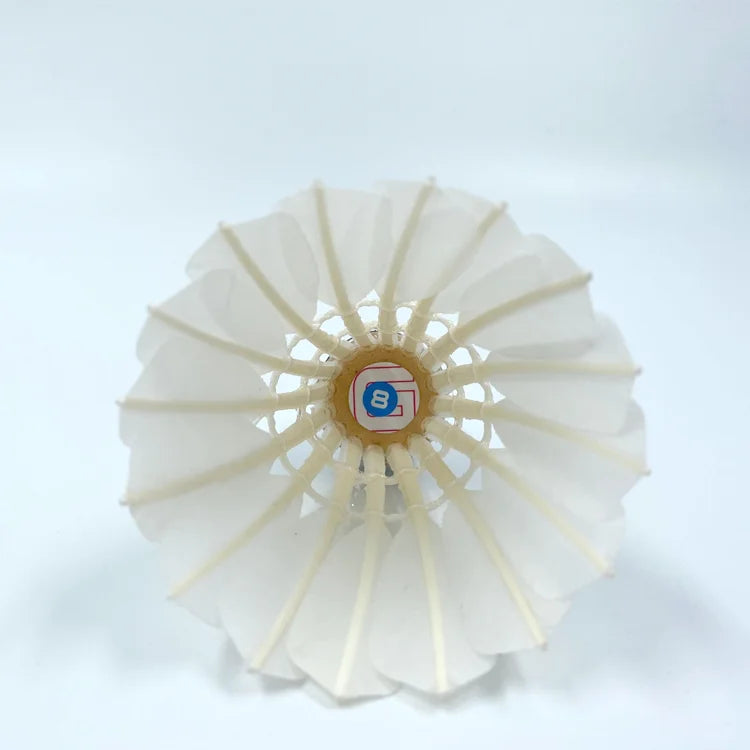 Durable New Dmantis G8 Goose Feather Class a Badminton Shuttlecock Training Use 12-Pack Natural White