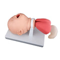 High Quality Infant Trachea Intubation Training Model