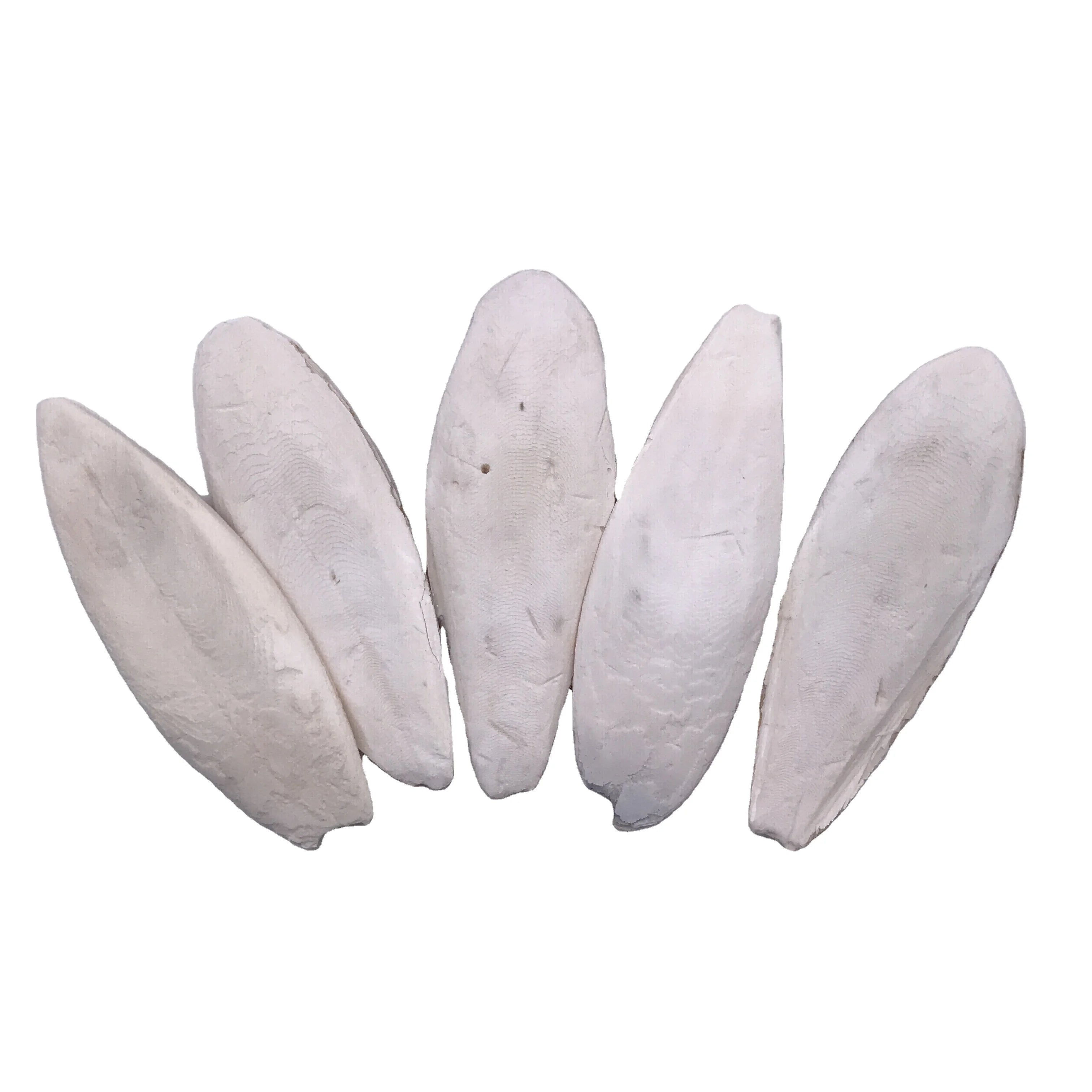 10008 Dried Trimmed Cuttlefish Bone Mo Yu Gu Clean for Animal Feed