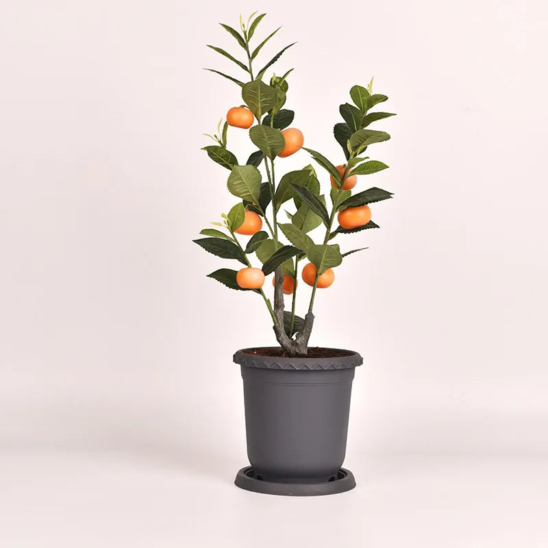 12L 30cm Outdoor Plastic Flower Pot for Roses Planting Flower Pot Hot Sale Factory Directly Pot