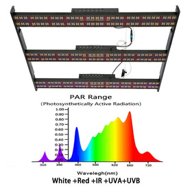 Bava 4x4 Led Grow Light Lm301h Uv Ir Bar High PPF 600W Indoor Medical Plant LED Grow Light with independent switchs