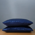 Factory Direct Price 19mm 100% Mulberry Silk Pillowcase Pure Natural Silk Pillow Case With OEKO Certificate