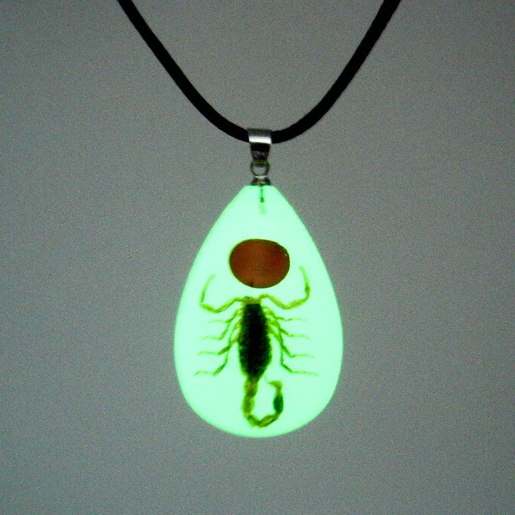 Fashion Real Insects Teardrop Resin Pendant Necklace Latest Design Necklace With Real Ant Pendant