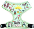 Custom Spring Reflective Dog Harness Accessories Set No Pull Dog Harness Training Collar and Leash with Bow Tie Bandana