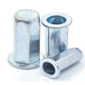 Manufacturer's Ready Stock M3-M12 Carbon Steel Color Zinc White Zinc Flat Head Full Hexagonal Closed End Blind Rivet Nut