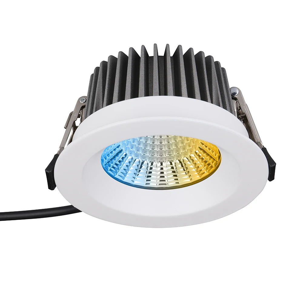 Benory IP65 Downlight 12W 24V DALI PWM 0-10V DMX Rgbw Recessed Ceiling Spot Ra95 Tunable White KNX Loxone Smart LED Downlights
