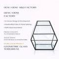 Metal Frame Geometric Clear Glass Tabletop Decorative Display Home Decor Interior Accent Terrarium