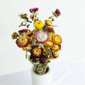 Wholesale Factory Dried Pineapple Chrysanthemum African Daisy Straw Flowers Natural Preserved Roses Home Decor for Mother's Day
