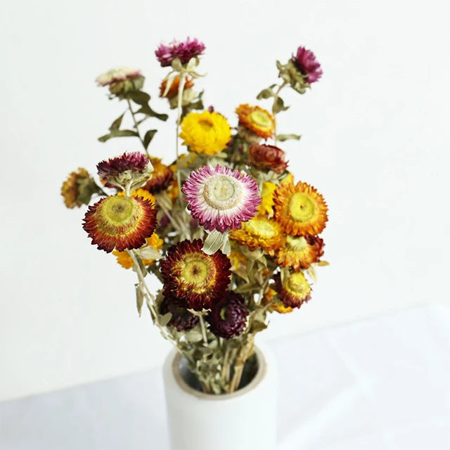 Wholesale Factory Dried Pineapple Chrysanthemum African Daisy Straw Flowers Natural Preserved Roses Home Decor for Mother's Day