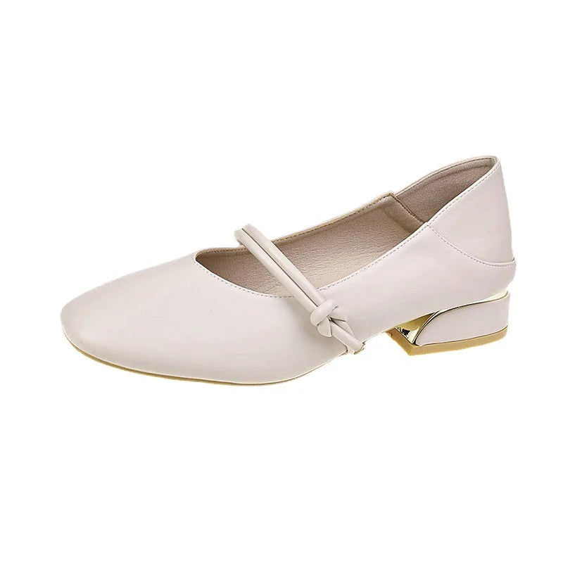 Mary Jane Women's Shoes Soft Bottom Casual Thick Heel Shoes Women's New Small Leather Shoes Shallow Mouth