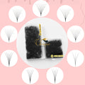 500 Fans 1000 Fans Pointy Base  6D 7D 8D 9D 10D 12D 14D 16D 20D 0.07 0.05 C D Curl Loose Premade Fans Lashes Extensions Promades
