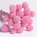 Bouquet Preserved Natural Billy Balls Boho Dried Flowers Pink Floral Arrangements Eco-Friendly Long-Lasting 3-5 Year Warranty