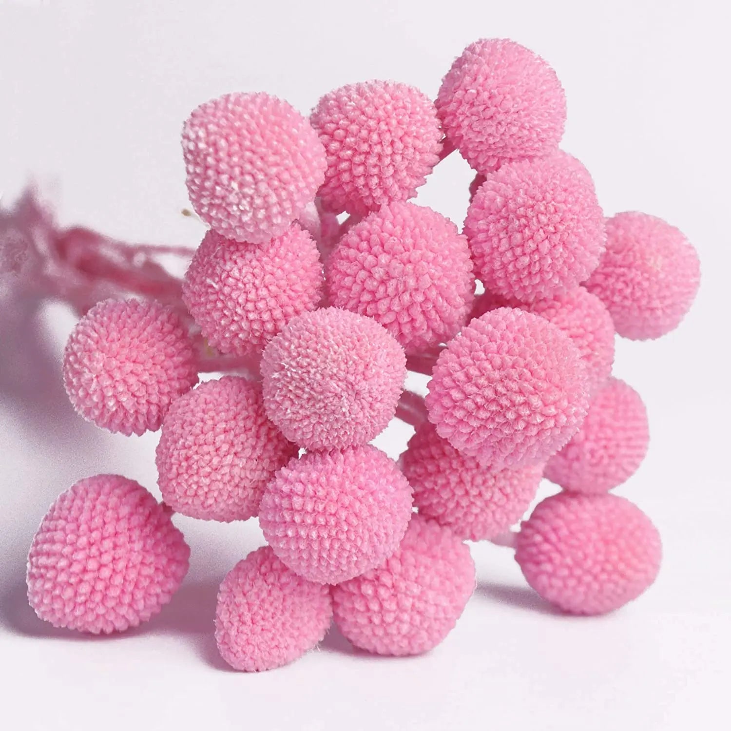 Bouquet Preserved Natural Billy Balls Boho Dried Flowers Pink Floral Arrangements Eco-Friendly Long-Lasting 3-5 Year Warranty