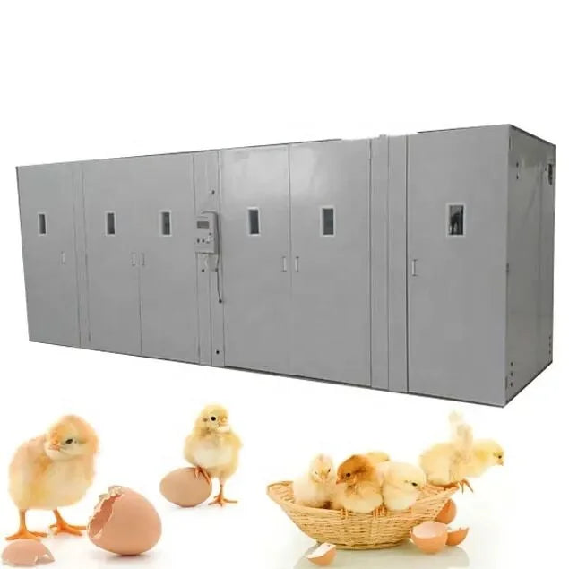 High Capacity Shelf Type China Automatic Aquarium  Commercial Large Fish Egg Incubator for Sale