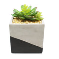 OEM/ODM Eco-friendly Cement Potted Plastic Artificial Grass Succulent Plant Decor