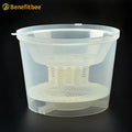 High Quality Bee Wasp Trap for Sale