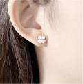 925 Sterling Silver Clover Earrings Women's Simple Diamond Inlaid Korean Ins Earrings New Trend Personalized and Versatile