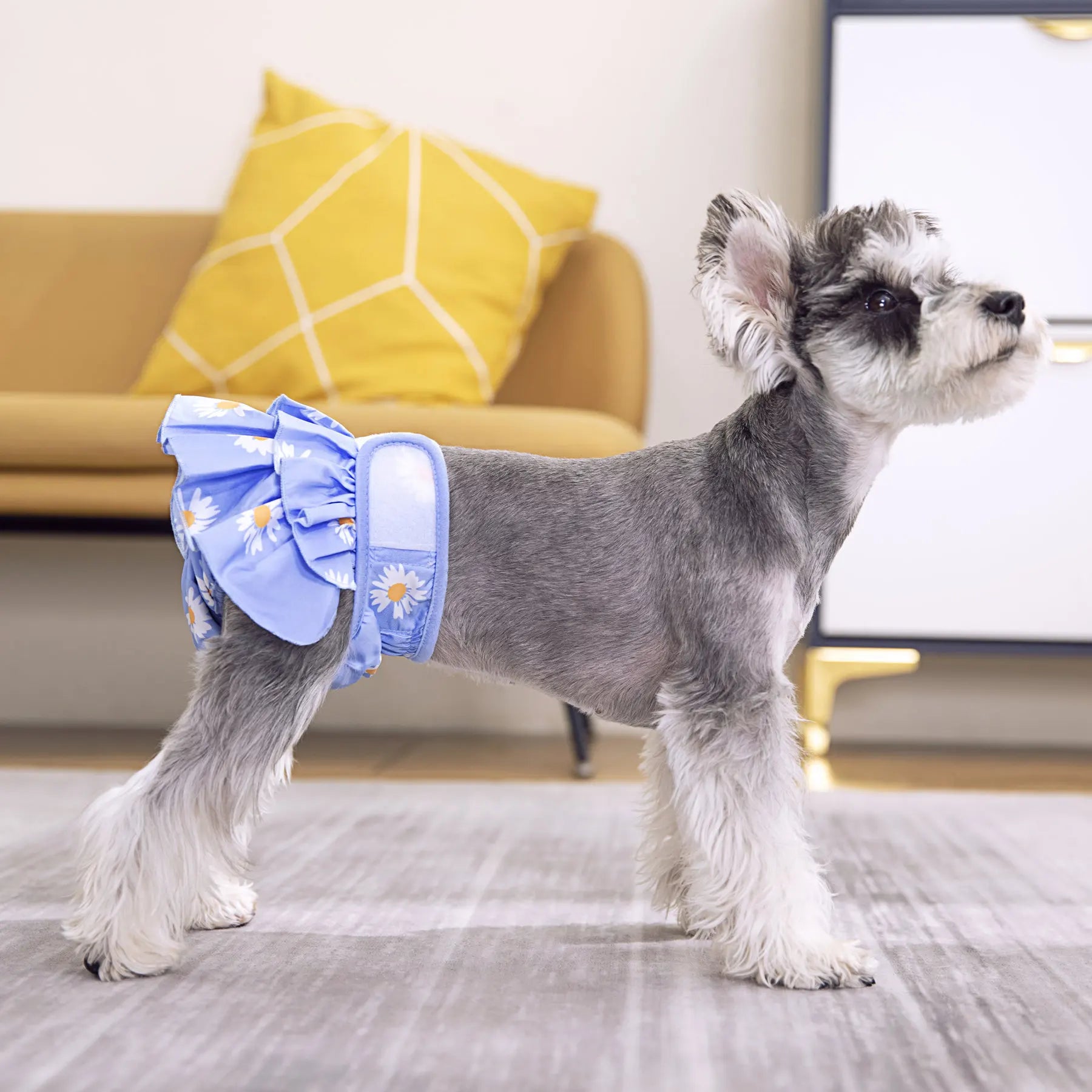 Pet Physiological Pants Doggy Physiological Skirt Female Dog Pants Leak-Proof Pet Diapers with Instant Absorption