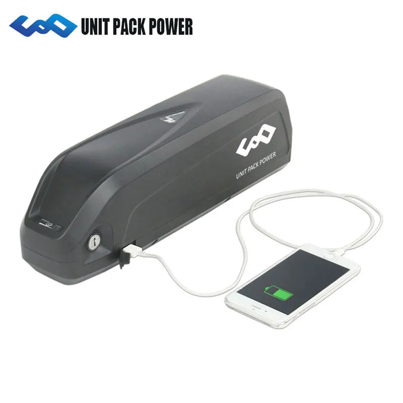 Hailong Lithium Battery Electric Bicycle Battery Ebike Battery Pack 48 v 20ah for Electric E-bike