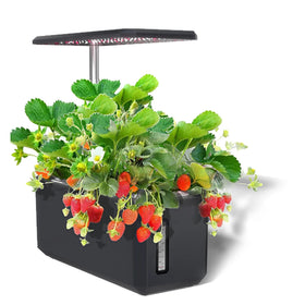 Multifunction Ultrasonic Cool Mist Air Humidifier for Indoor Garden Hydroponic Planter Hydroponic Garden Aromatherapy for Hotel