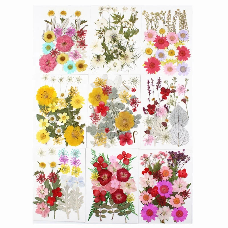 M388 Wholesale DIY Flower Press Kit Dried Pressed Flowers Natural Real Dried Pressed Flowers for Resin Art Phone Case Frames