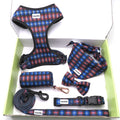 2025 New Fashion Personalized Nylon Dog Harness with Leather 6-Piece Set Leash Collar Harness