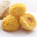Huaran Yulin Guangxi China Edible Mushrooms Wholesale Tremella Fuciformis Silvery Fungi Dried White Fungus for Food